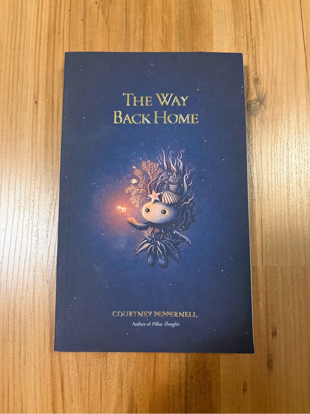 The Way Back Home — Navy Blue Paperback by Courtney Peppernell